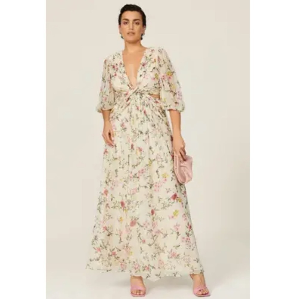 ML Monique Lhuillier Floral Pleated Chiffon Gown